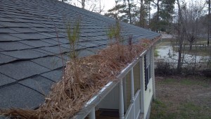 Read more about the article Gutter Cleaning